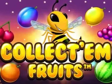 Experience the Thrill of Wyns Casino in Canada with Exclusive Bonuses