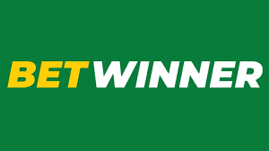 Betwinner The Ultimate Betting Experience for Enthusiasts